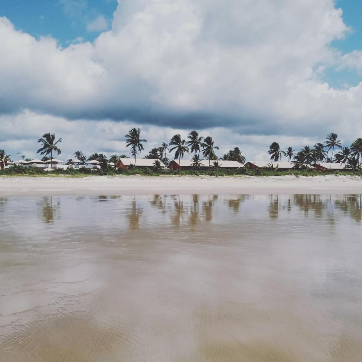 Lindo Apto Em Frente Ao Mar - Ilheus - Itacare Ba Exteriér fotografie